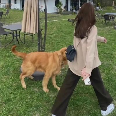 伊朗式摔角